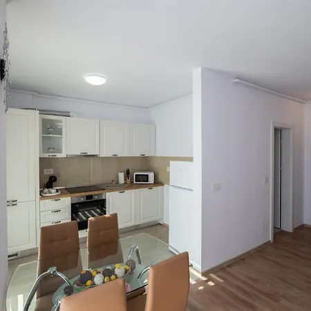 公寓 Claseb 蒂米什瓦拉