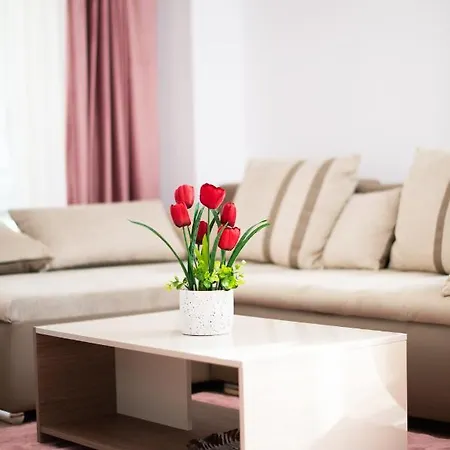 Claseb 蒂米什瓦拉