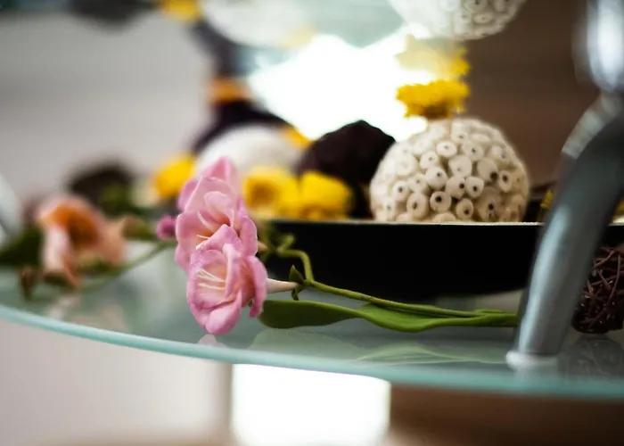 Claseb * Тимишоара