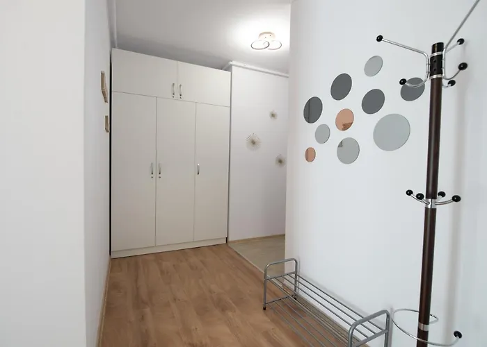 Claseb Тимишоара