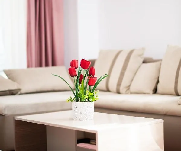 Claseb Тимишоара